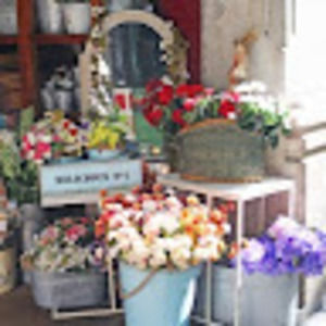 Meet your Posher, Imene